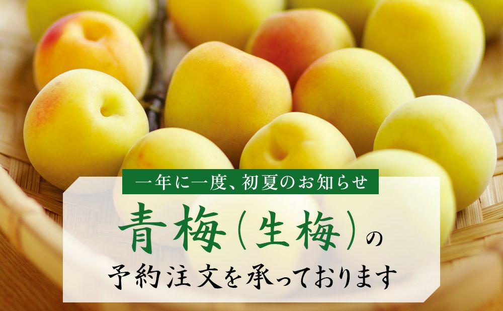 梅干用青梅（完熟小梅） - てらがき農園