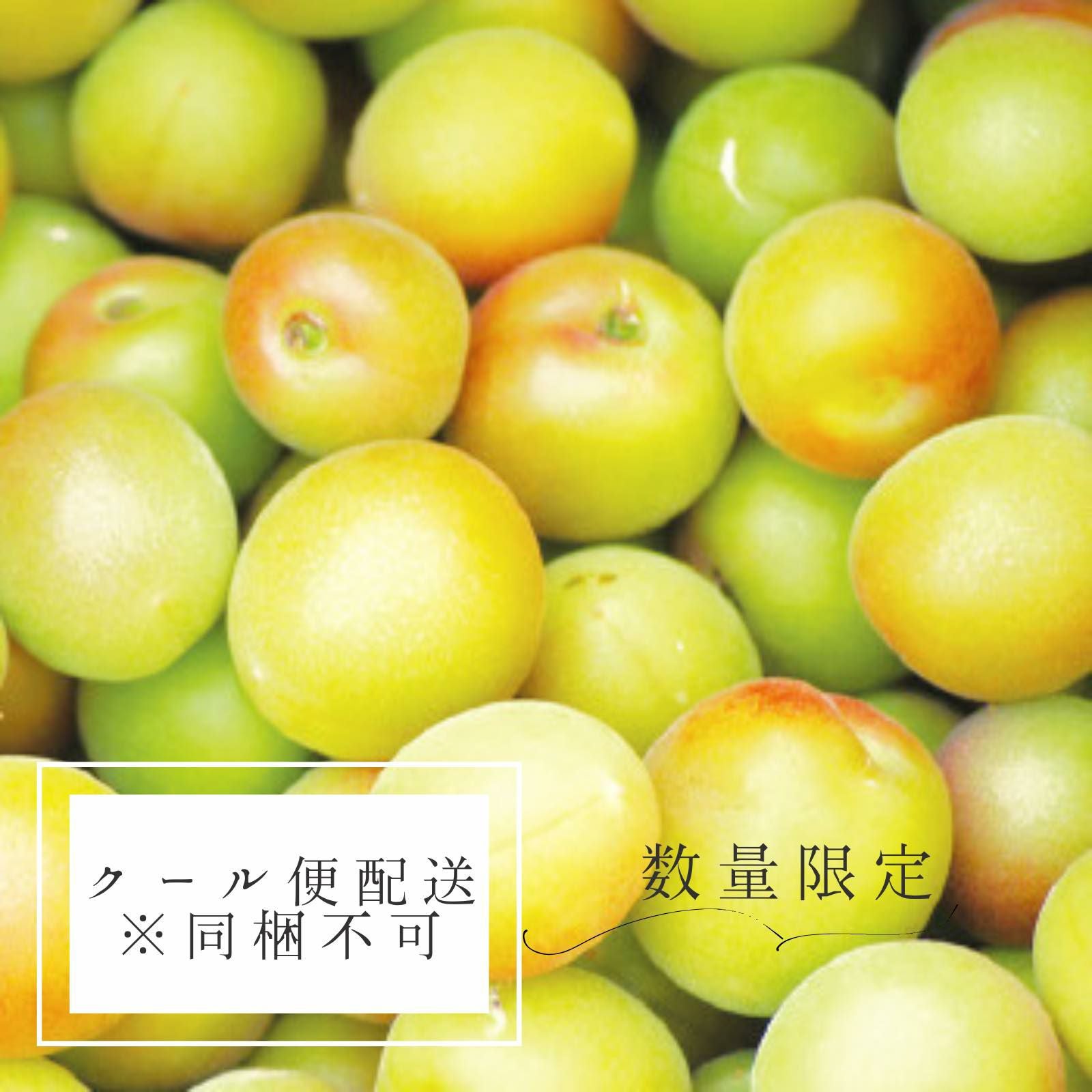 梅干用青梅（完熟小梅） - てらがき農園