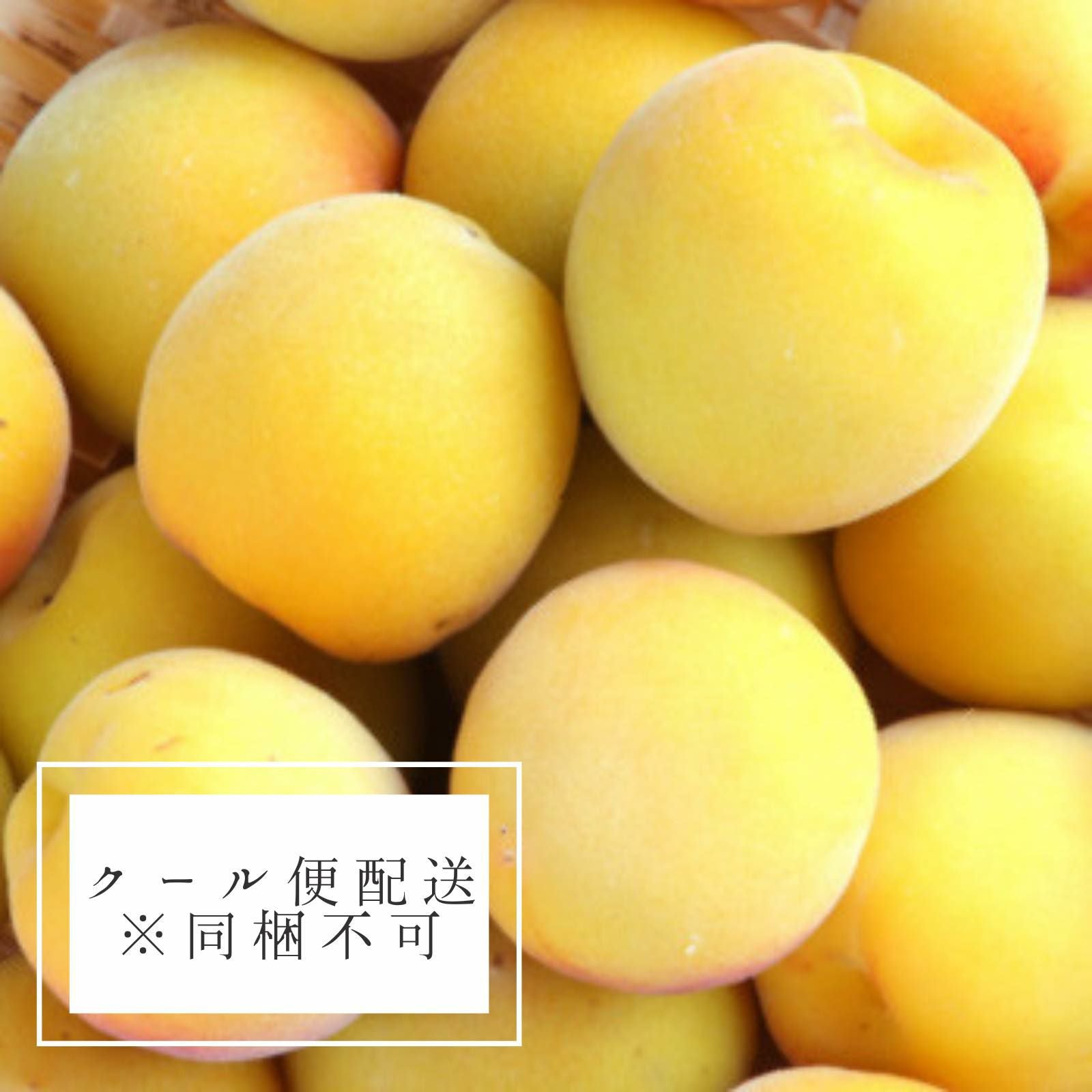 完売】【プロ仕様】超完熟梅（梅干用）30kg [送料込] | てらがき農園